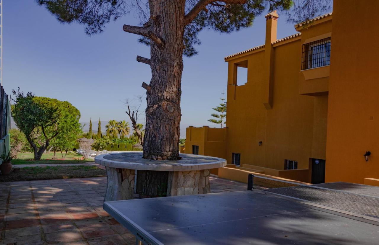 Tess Villa La Favorita Alhaurín de la Torre Dış mekan fotoğraf